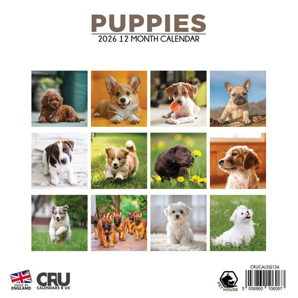 CalendarsRUs Puppies Kalender 2026