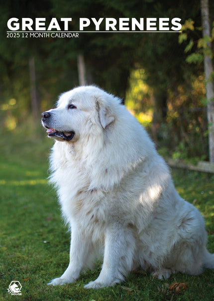 CalendarsRUs Pyreneese Berghond A3 Kalender 2025
