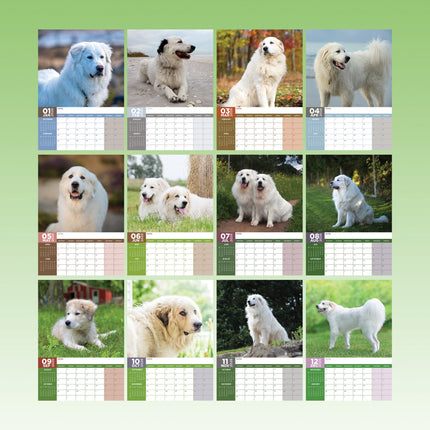 CalendarsRUs Pyreneese Berghond A3 Kalender 2026