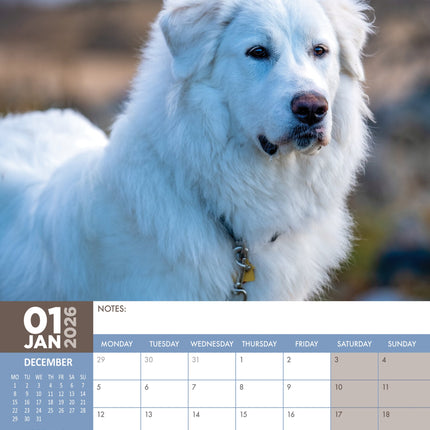 CalendarsRUs Pyreneese Berghond A3 Kalender 2026
