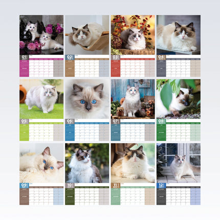 CalendarsRUs Ragdoll A3 Kalender 2026