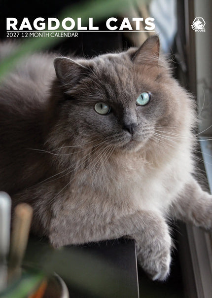 CalendarsRUs Ragdoll A3 Kalender 2027