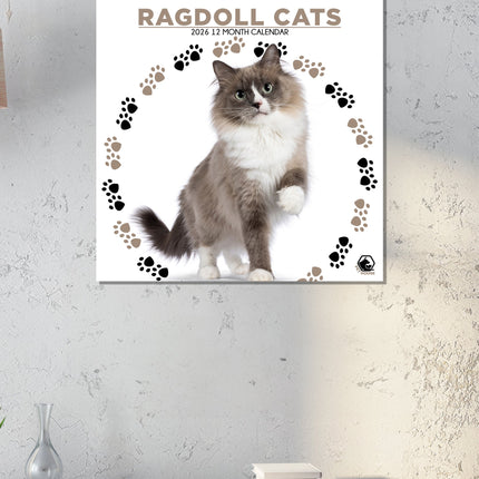 CalendarsRUs Ragdoll Kalender 2026