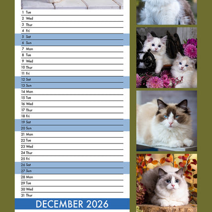 CalendarsRUs Ragdoll Slimline Kalender 2026