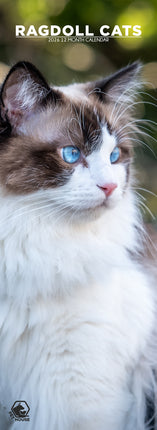 CalendarsRUs Ragdoll Slimline Kalender 2026