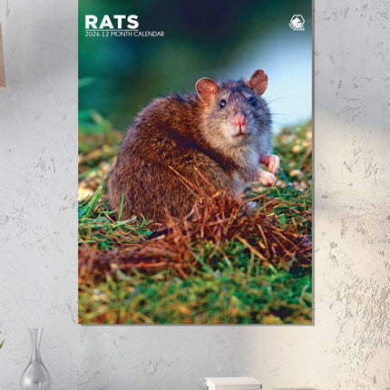 CalendarsRUs Ratten A3 Kalender 2026
