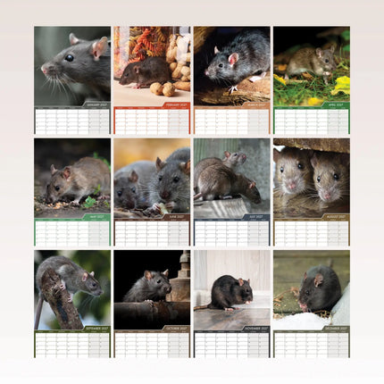 CalendarsRUs Ratten A3 Kalender 2027