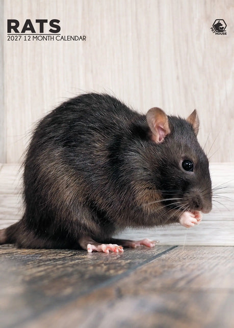 CalendarsRUs Ratten A3 Kalender 2027