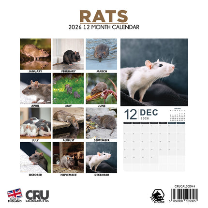 CalendarsRUs Ratten Kalender 2026