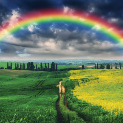 CalendarsRUs Regenbogen A3 Kalender 2026