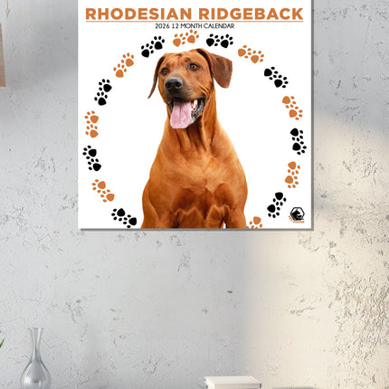 CalendarsRUs Rhodesian Ridgeback Kalender 2026