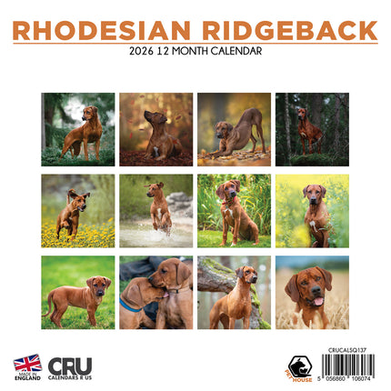 CalendarsRUs Rhodesian Ridgeback Kalender 2026