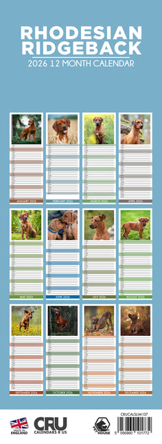 CalendarsRUs Rhodesian Ridgeback Slimline Kalender 2026