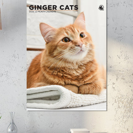 CalendarsRUs Rode Katten A3 Kalender 2026