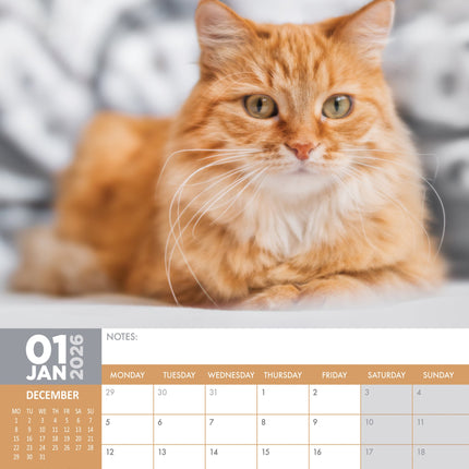 CalendarsRUs Rode Katten A3 Kalender 2026