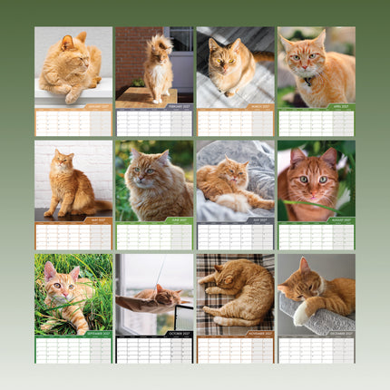 CalendarsRUs Rode Katten A3 Kalender 2027