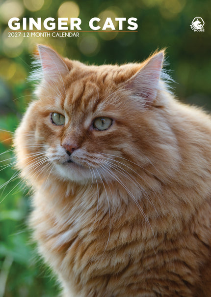 CalendarsRUs Rode Katten A3 Kalender 2027