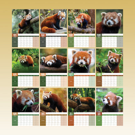 CalendarsRUs Rode Panda A3 Kalender 2026