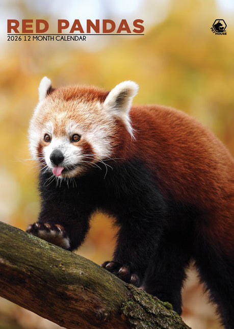 CalendarsRUs Rode Panda A3 Kalender 2026