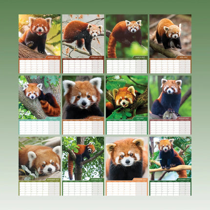 CalendarsRUs Rode Panda A3 Kalender 2027