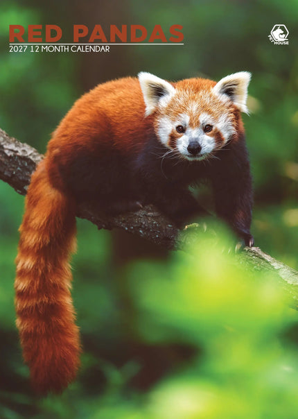CalendarsRUs Rode Panda A3 Kalender 2027