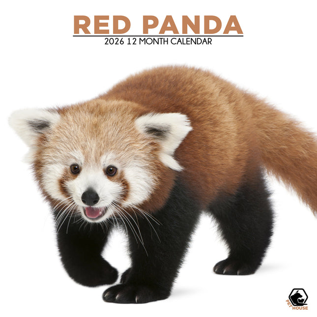 CalendarsRUs Rode Panda Kalender 2026
