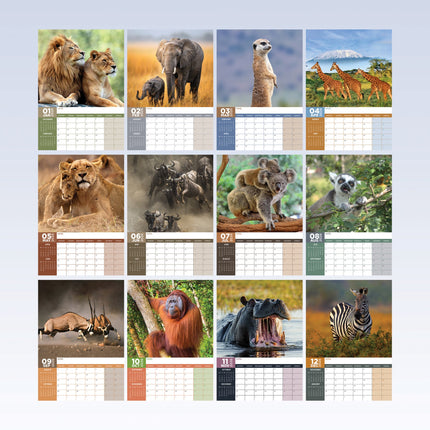 CalendarsRUs Safari A3 Kalender 2026