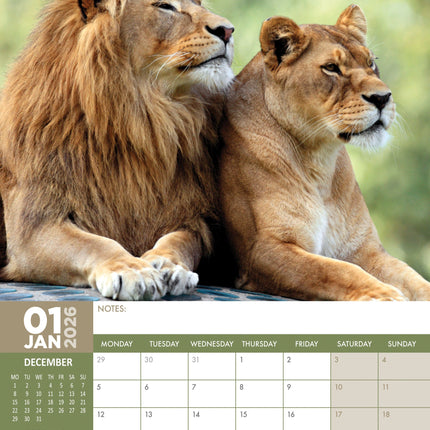CalendarsRUs Safari A3 Kalender 2026