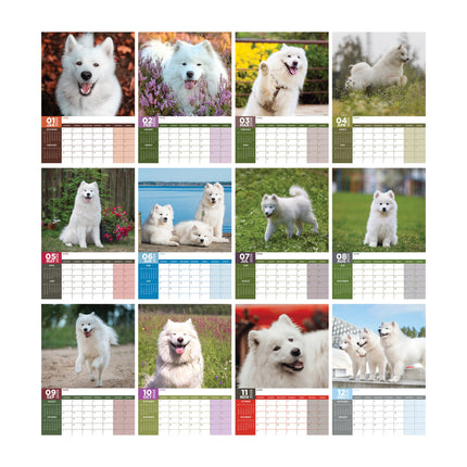 CalendarsRUs Samojeed A3 Kalender 2026