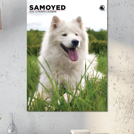 CalendarsRUs Samojeed A3 Kalender 2026