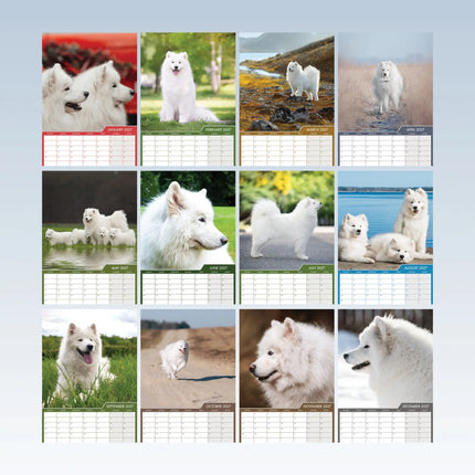 CalendarsRUs Samojeed A3 Kalender 2027