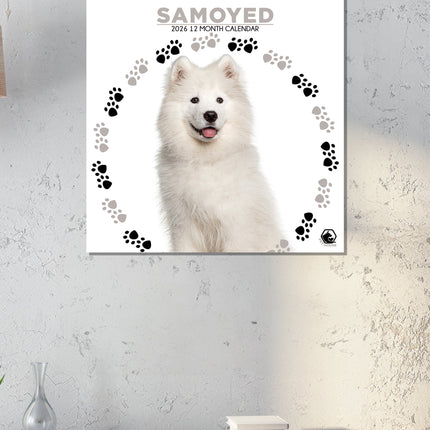 CalendarsRUs Samojeed Kalender 2026