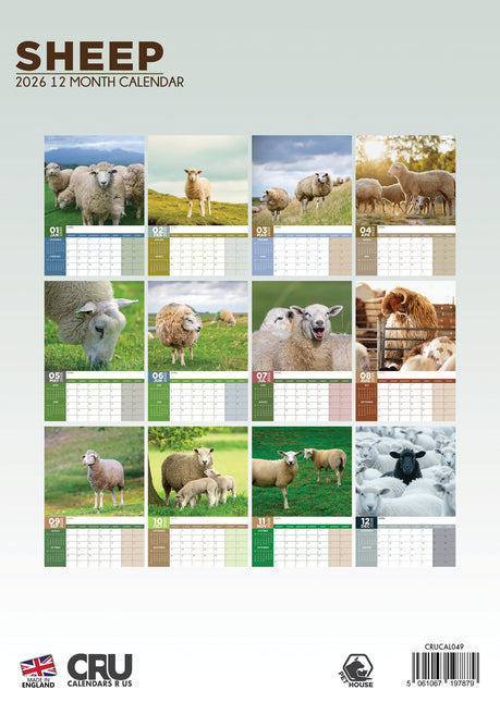 CalendarsRUs Schapen A3 Kalender 2026