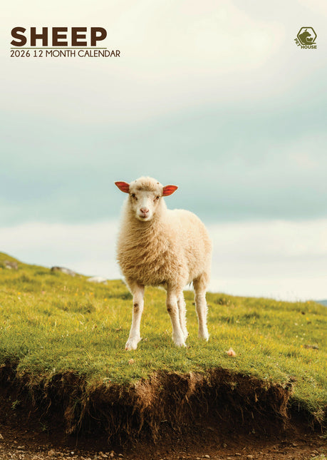 CalendarsRUs Schapen A3 Kalender 2026