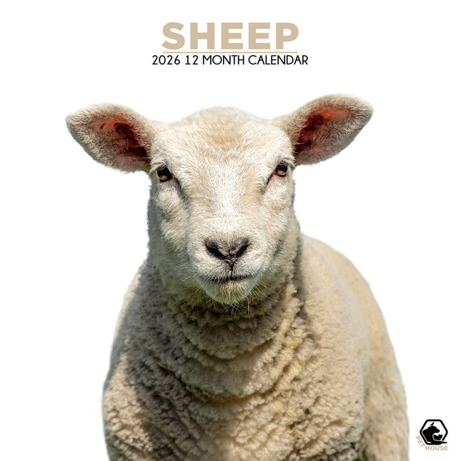 CalendarsRUs Schapen Kalender 2026