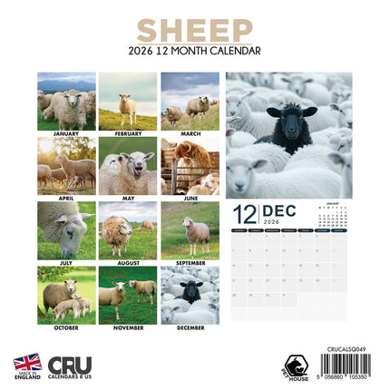 CalendarsRUs Schapen Kalender 2026