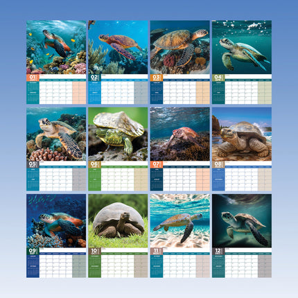 CalendarsRUs Schildpadden A3 Kalender 2026