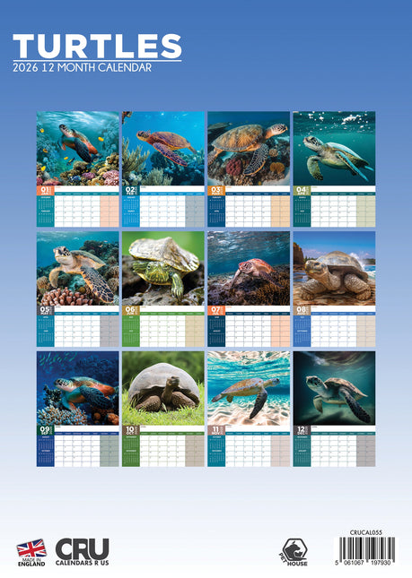CalendarsRUs Schildpadden A3 Kalender 2026