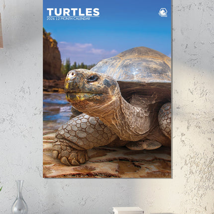 CalendarsRUs Schildpadden A3 Kalender 2026