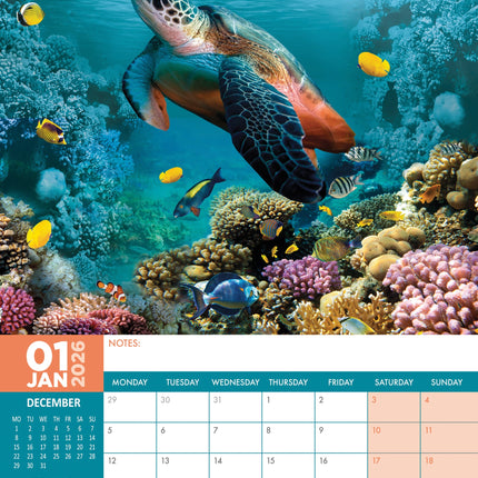 CalendarsRUs Schildpadden A3 Kalender 2026