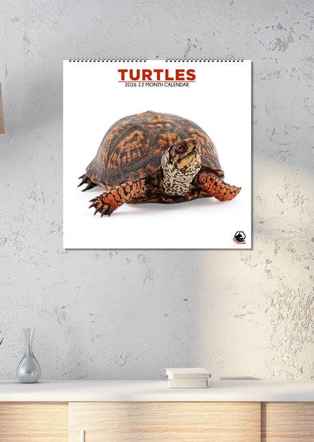 CalendarsRUs Schildpadden Kalender 2026