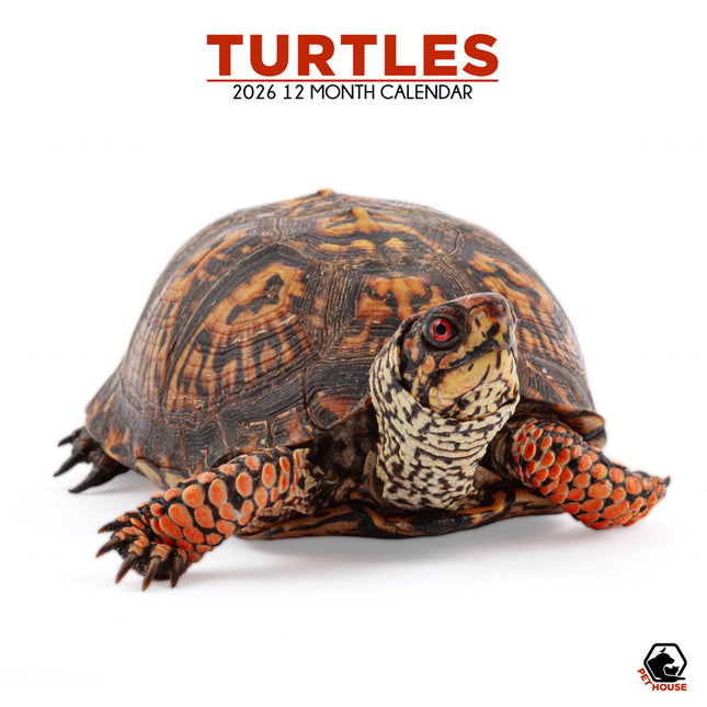 CalendarsRUs Schildpadden Kalender 2026