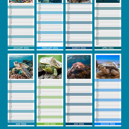 CalendarsRUs Schildpadden Slimline Kalender 2026
