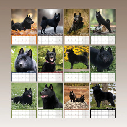 CalendarsRUs Schipperke A3 Kalender 2027