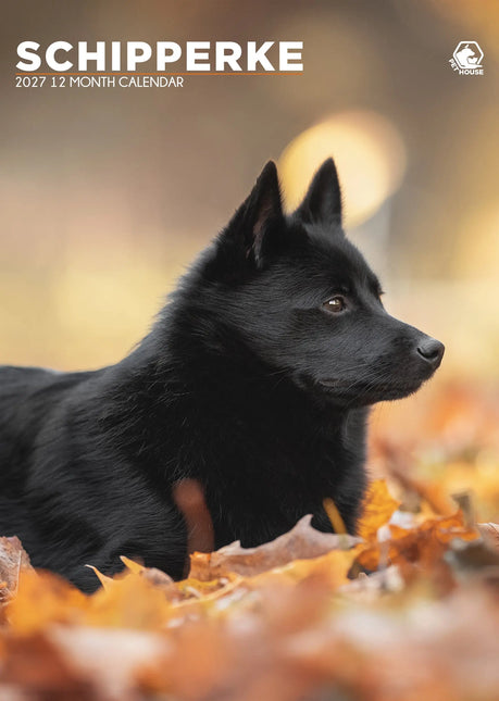 CalendarsRUs Schipperke A3 Kalender 2027