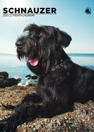 CalendarsRUs Schnauzer A3 Kalender 2025