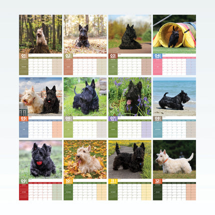 CalendarsRUs Schotse Terrier A3 Kalender 2026