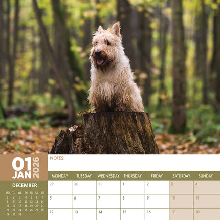 CalendarsRUs Schotse Terrier A3 Kalender 2026