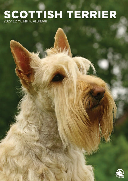 CalendarsRUs Schotse Terrier A3 Kalender 2027