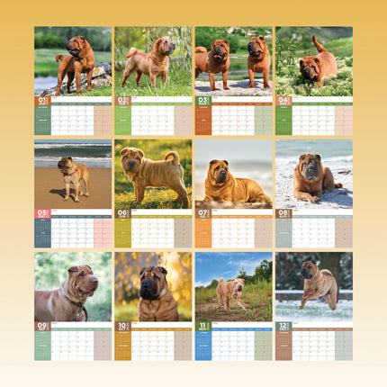 CalendarsRUs Shar Pei A3 Kalender 2026